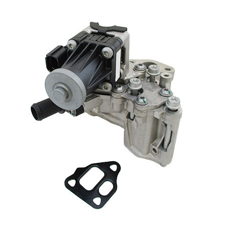 Module-AGR MEAT & DORIA