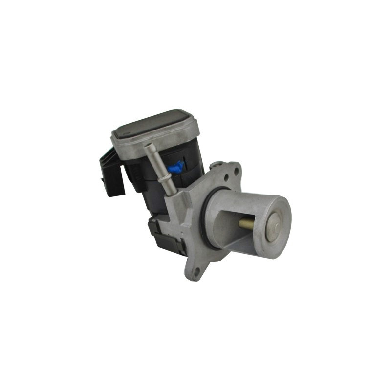 Vanne EGR / AGR MEAT & DORIA