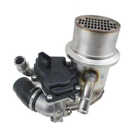 Module-AGR MEAT & DORIA