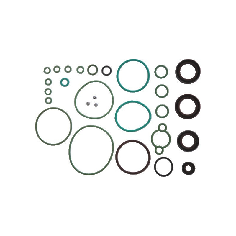 Kit de réparation (système de rampe commune) MEAT & DORIA