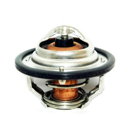 Thermostat d'eau MEAT & DORIA