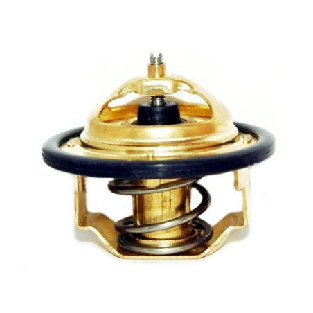 Thermostat d'eau MEAT & DORIA