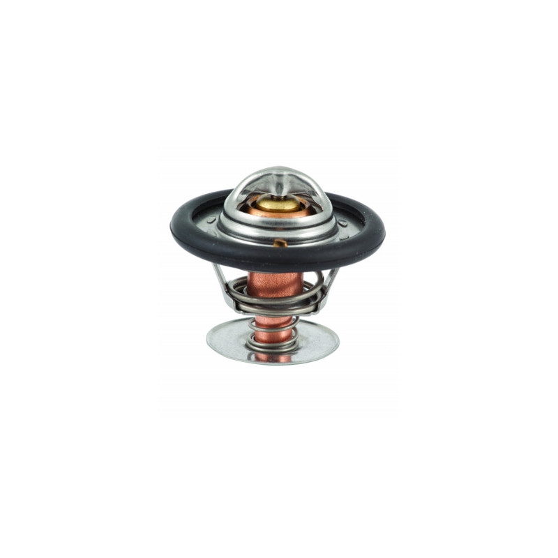 Thermostat d'eau MEAT & DORIA