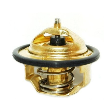 Thermostat d'eau MEAT & DORIA