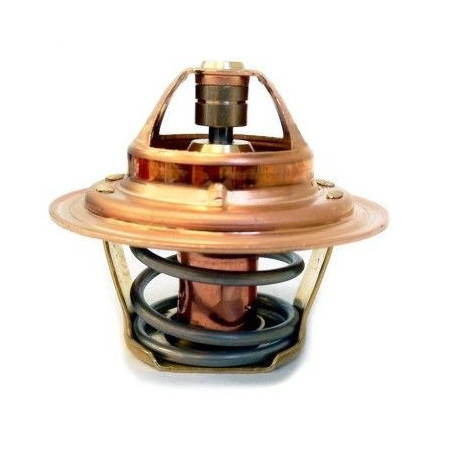 Thermostat d'eau MEAT & DORIA