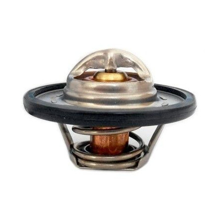 Thermostat d'eau MEAT & DORIA