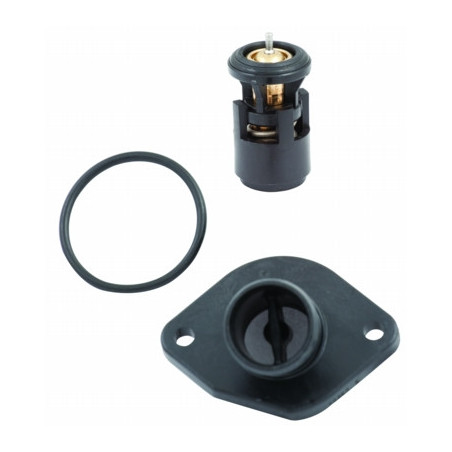 Thermostat d'eau MEAT & DORIA