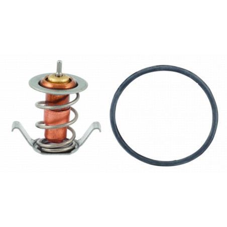 Thermostat d'eau MEAT & DORIA