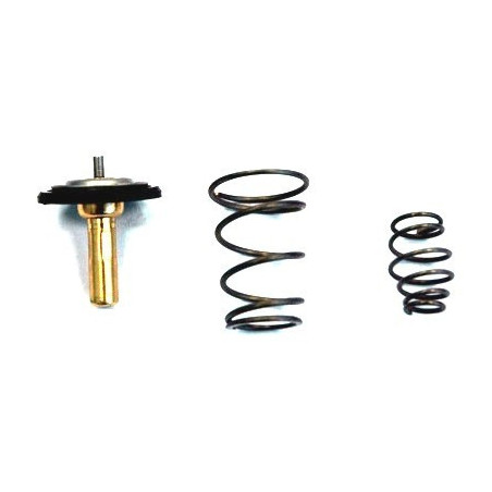 Thermostat d'eau MEAT & DORIA