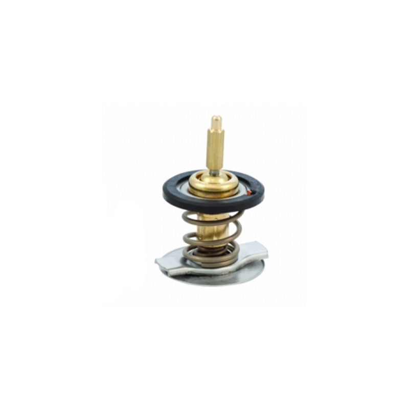 Thermostat d'eau MEAT & DORIA