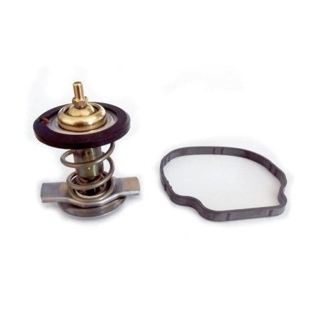 Thermostat d'eau MEAT & DORIA