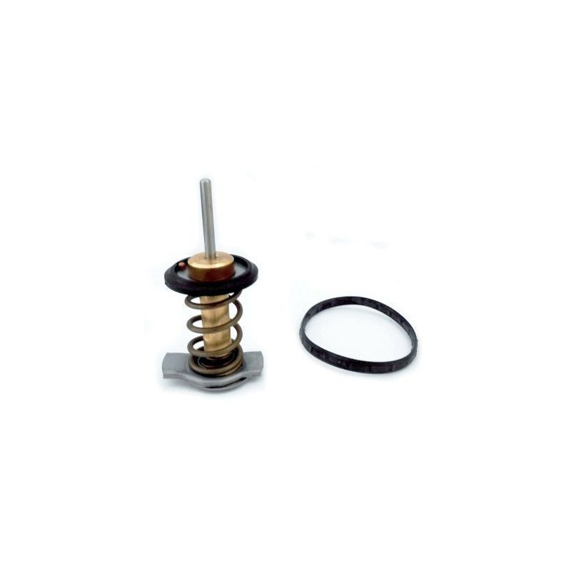 Thermostat d'eau MEAT & DORIA