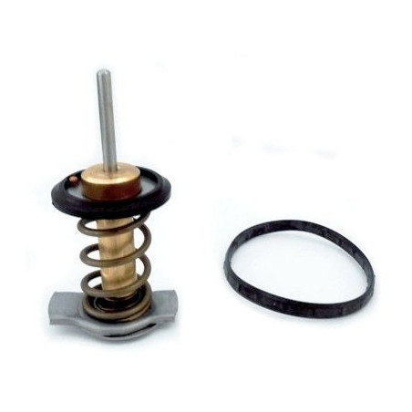 Thermostat d'eau MEAT & DORIA