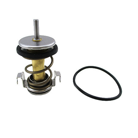 Thermostat d'eau MEAT & DORIA