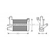 Intercooler (échangeur d'air) AVA QUALITY COOLING