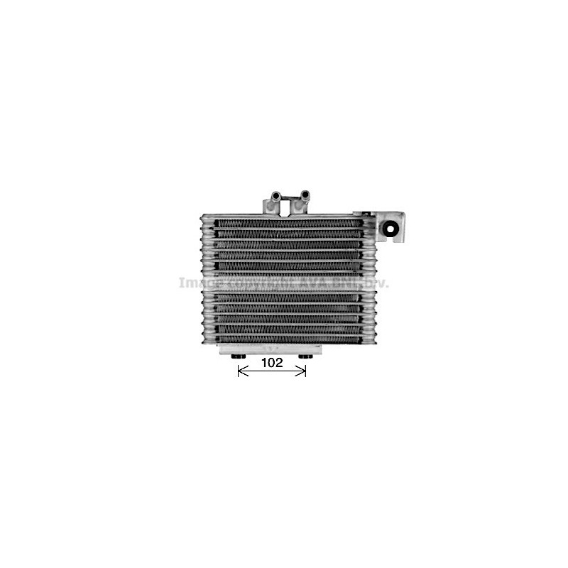Radiateur d'huile de boite de vitesse automatique AVA QUALITY COOLING