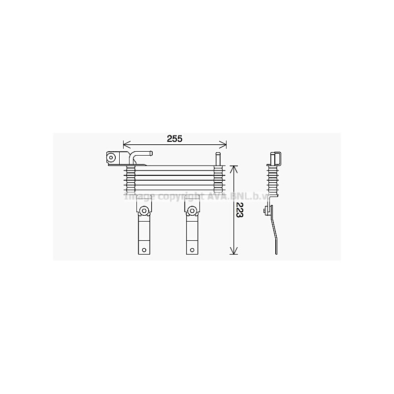 Radiateur d'huile de boite de vitesse automatique AVA QUALITY COOLING