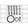 Kit de réparation (rotule de suspension) SASIC