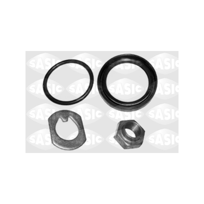 Kit de réparation (corps de l'essieu) SASIC