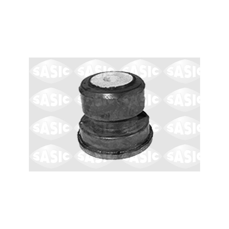 Silent bloc de train arrière SASIC
