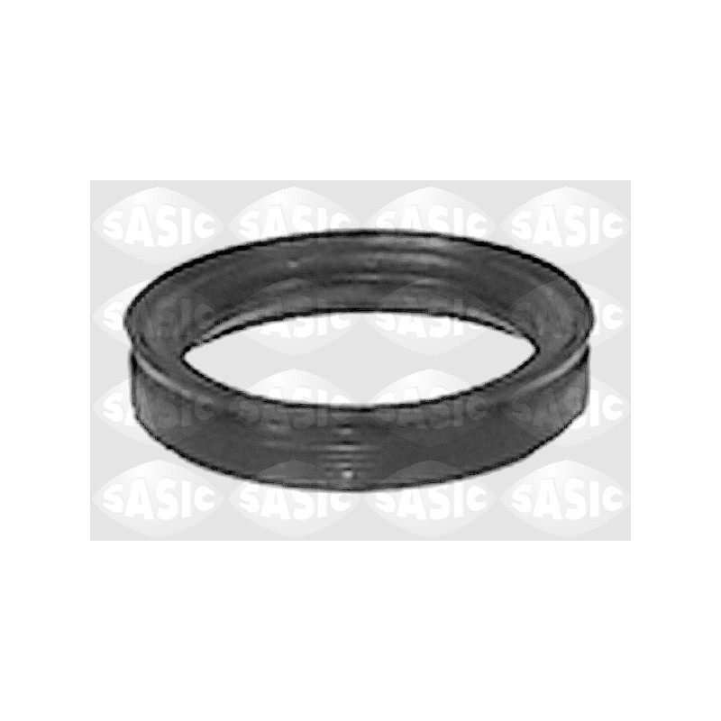 Kit de réparation (corps de l'essieu) SASIC