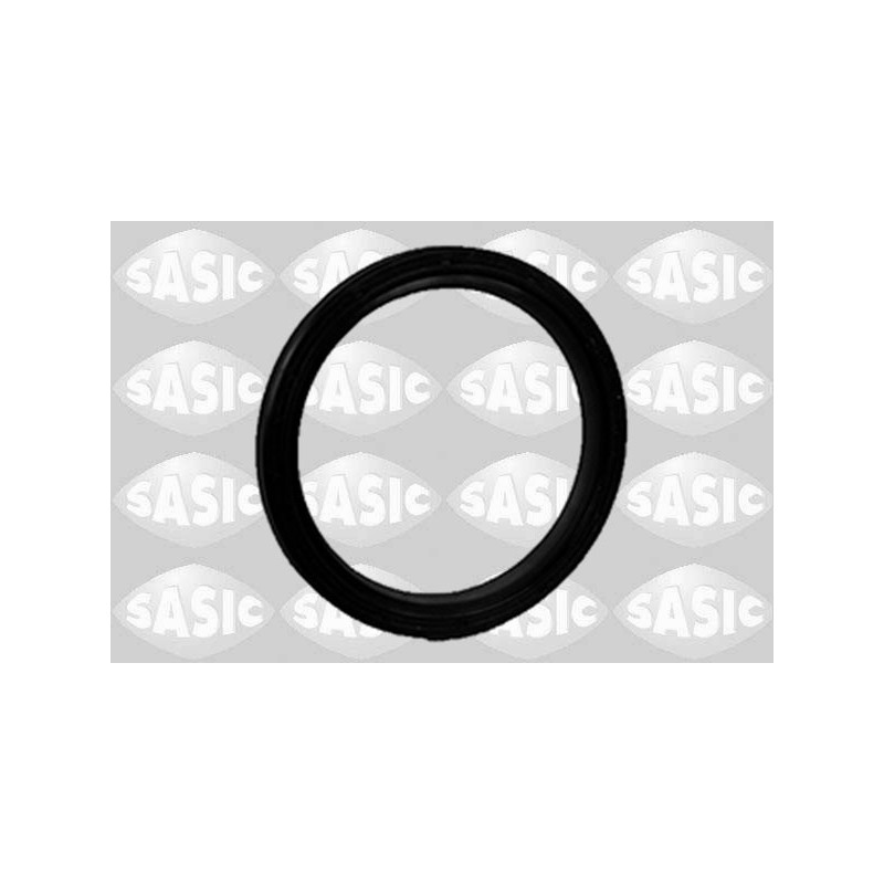 Joint d'étanchéité (collecteur d'admission) SASIC