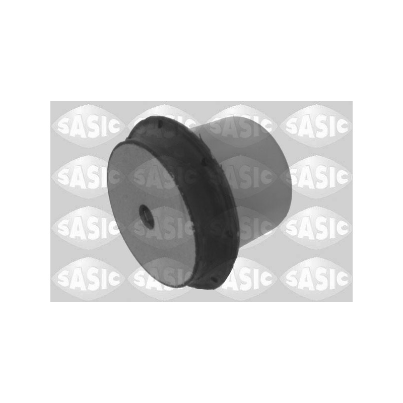 Silent bloc de train arrière SASIC