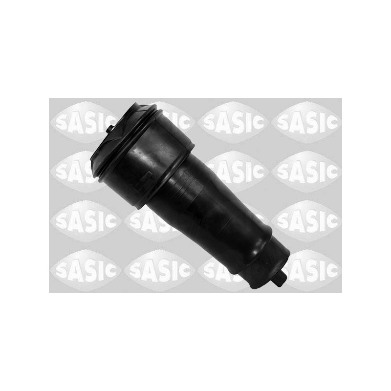 Ressort pneumatique- châssis SASIC