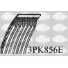 Courroie d'accessoire SASIC