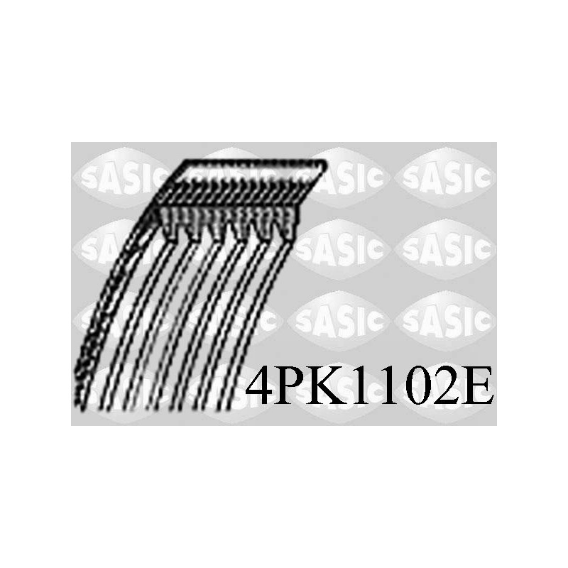 Courroie d'accessoire SASIC