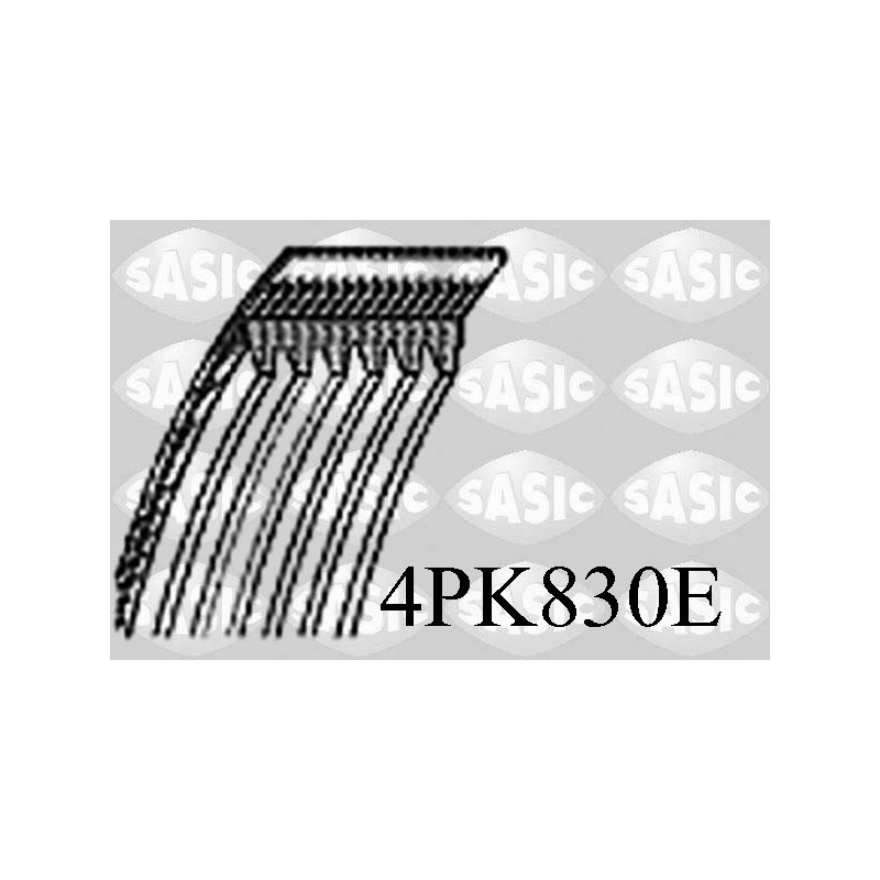 Courroie d'accessoire SASIC