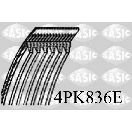 Courroie d'accessoire SASIC