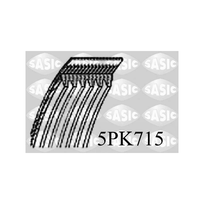 Courroie d'accessoire SASIC