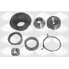 Kit de réparation (rotule de suspension) SASIC
