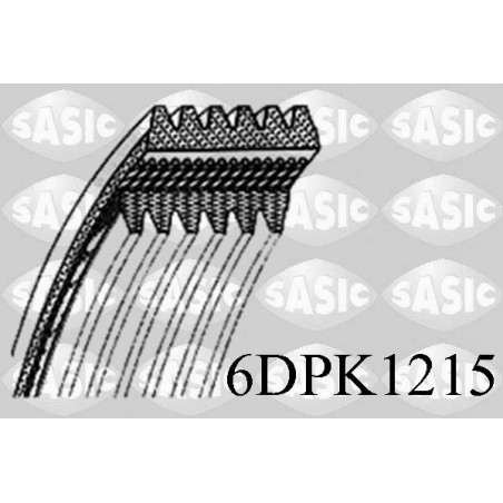 Courroie d'accessoire SASIC