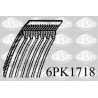 Courroie d'accessoire SASIC