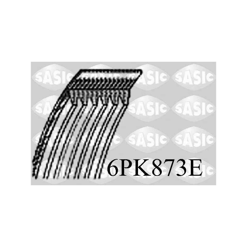 Courroie d'accessoire SASIC