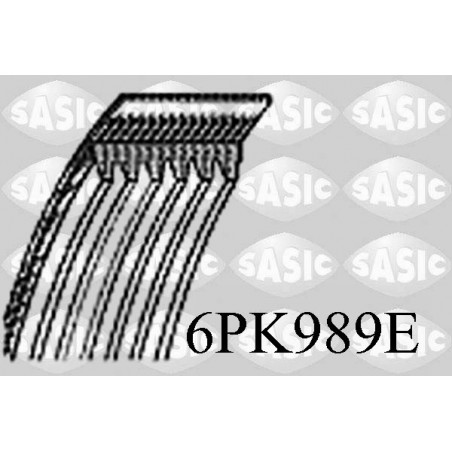 Courroie d'accessoire SASIC