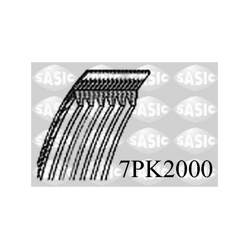 Courroie d'accessoire SASIC