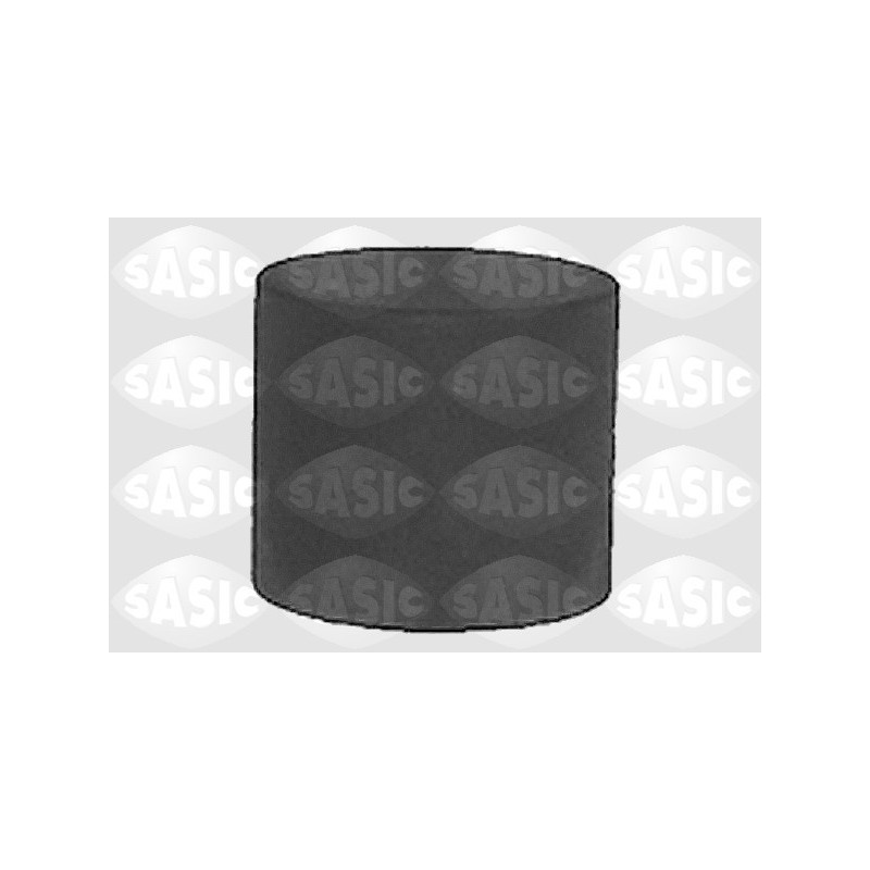 Poussoir de soupape SASIC