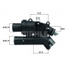 Thermostat d'eau MAHLE