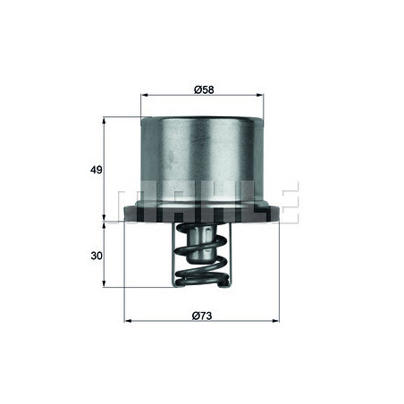 Thermostat d'eau MAHLE