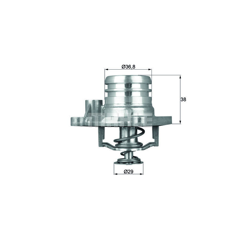 Thermostat d'eau MAHLE