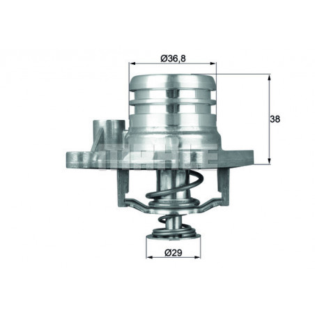 Thermostat d'eau MAHLE