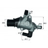 Thermostat d'eau MAHLE