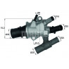 Thermostat d'eau MAHLE