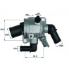 Thermostat d'eau MAHLE