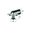 Thermostat d'eau MAHLE