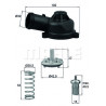 Thermostat d'eau MAHLE