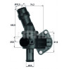 Thermostat d'eau MAHLE